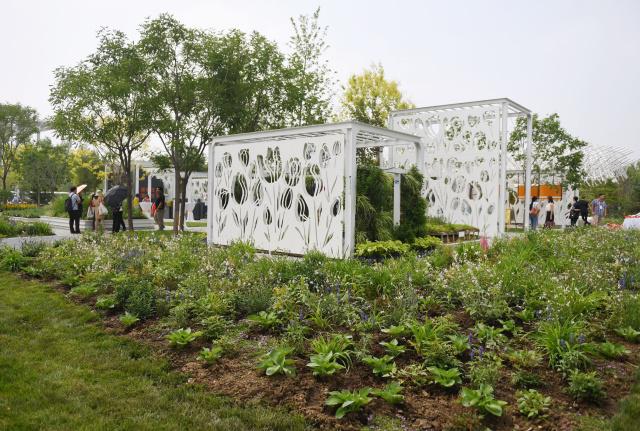 北京世园会荷兰园：“街心花园”展现绿色城市理念