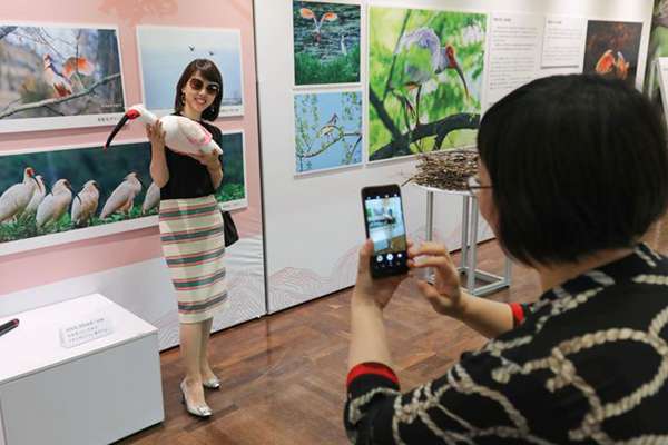 中国－日本系列人文交流活动在大阪举行