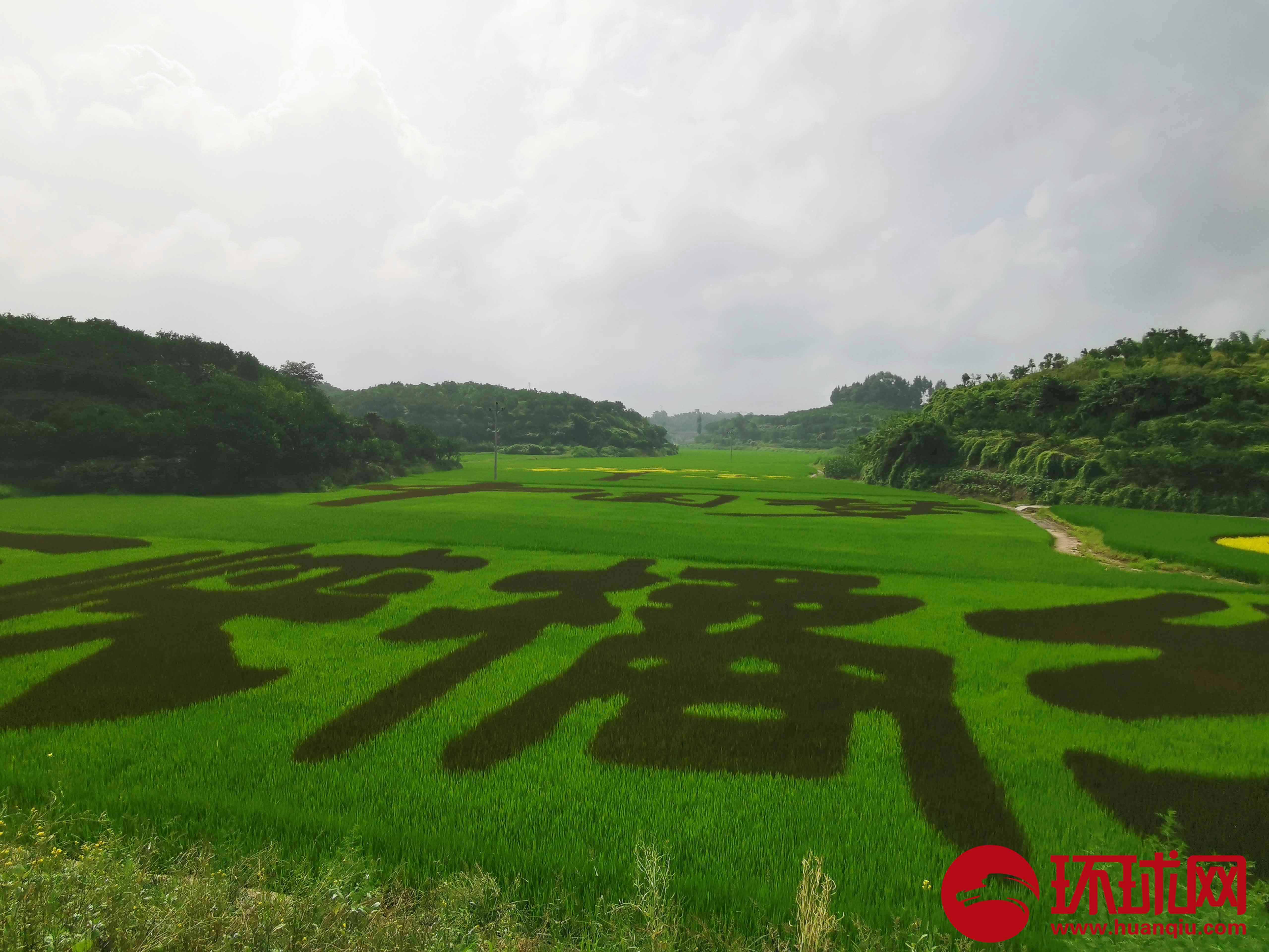 重庆忠县：走“农文旅”发展之路