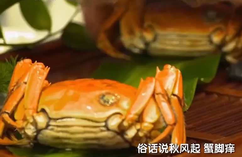 霜降美食：螃蟹